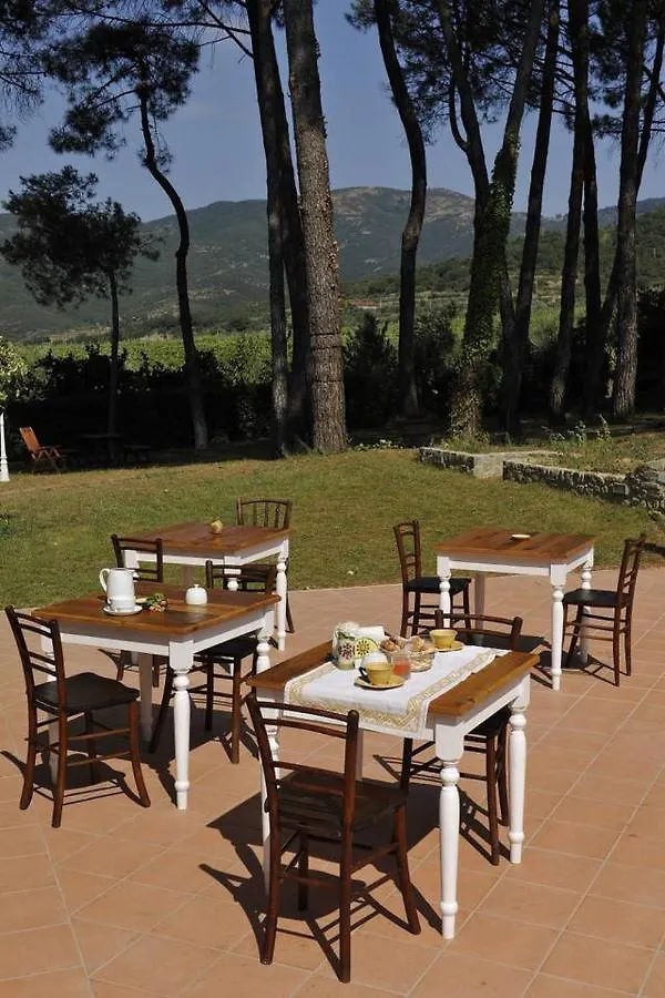 Il Maggese Villa Cortona Italy